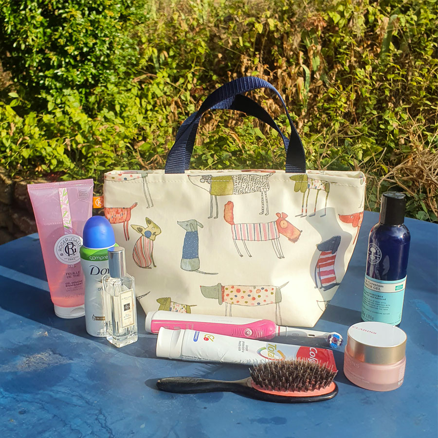 Wash-Bag-dog-22 Dog Fun Wash